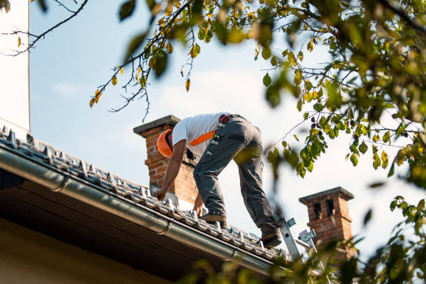 Roof Installation Near Me in Ellerslie, GA