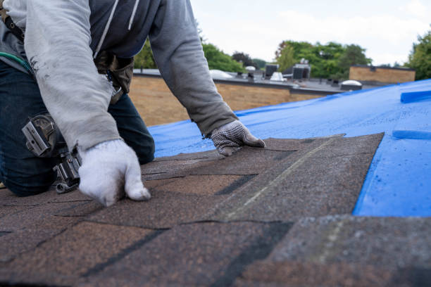 Best New Roof Installation  in Ellerslie, GA
