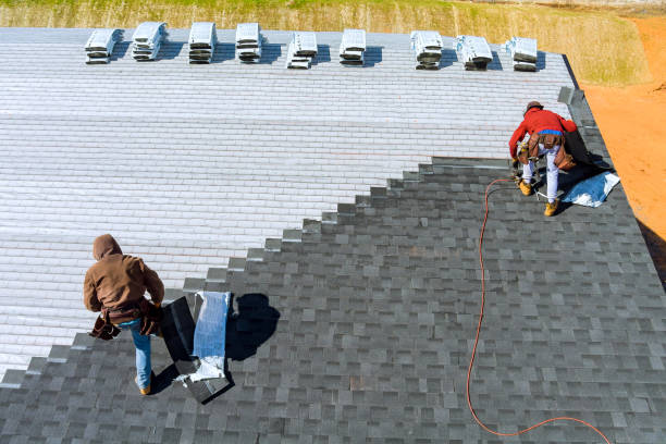 Best Roof Gutter Cleaning  in Ellerslie, GA